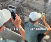 '잠실야구장에 '치마 입은 여성' 몰카범이 있어요'... 휴대폰 배경화면은 '아기 사진'