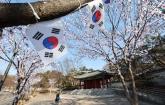 효창공원, '제2 국립현충원'으로 승격 추진... 인근 주민들 강하게 반발하는 이유