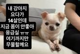 이지혜, 새벽 SNS 소통 중 갑작스러운 중단... 대체 무슨 일?